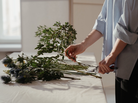 德國包裝法注冊全流程：2025年新指南