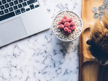 歐盟代表（歐代）如何申請注冊及使用指南