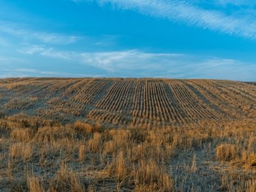 香港公司章程修改的法定流程與實務(wù)要求詳解