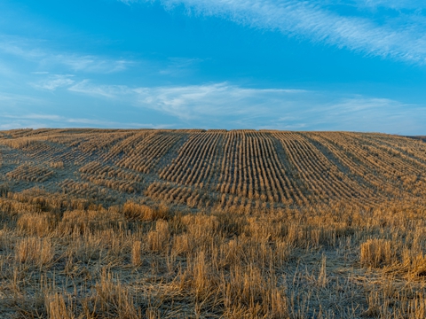 速賣通常用的跨境物流方法有那些